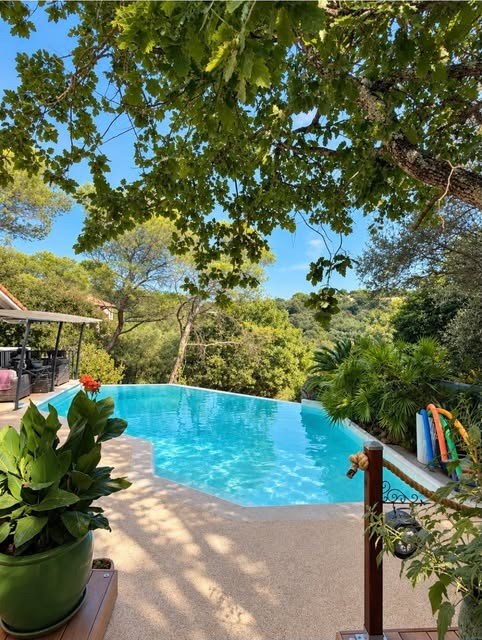 Publication Instagram : piscine à débordement entourée de pins sous le soleil